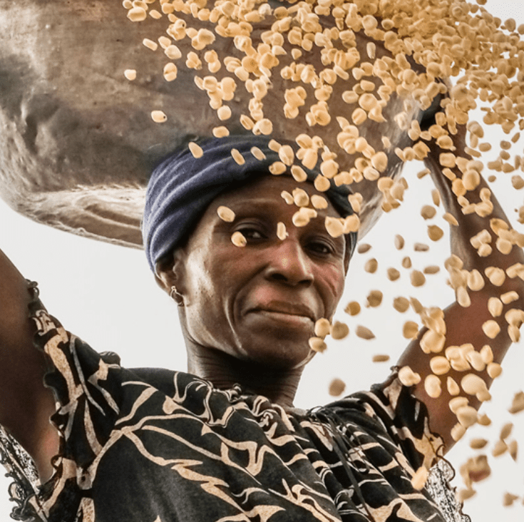 Developing Gender sensitive Value Chains FAO Elearning Academy Policy 